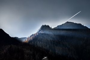 AUREA ESCAPE